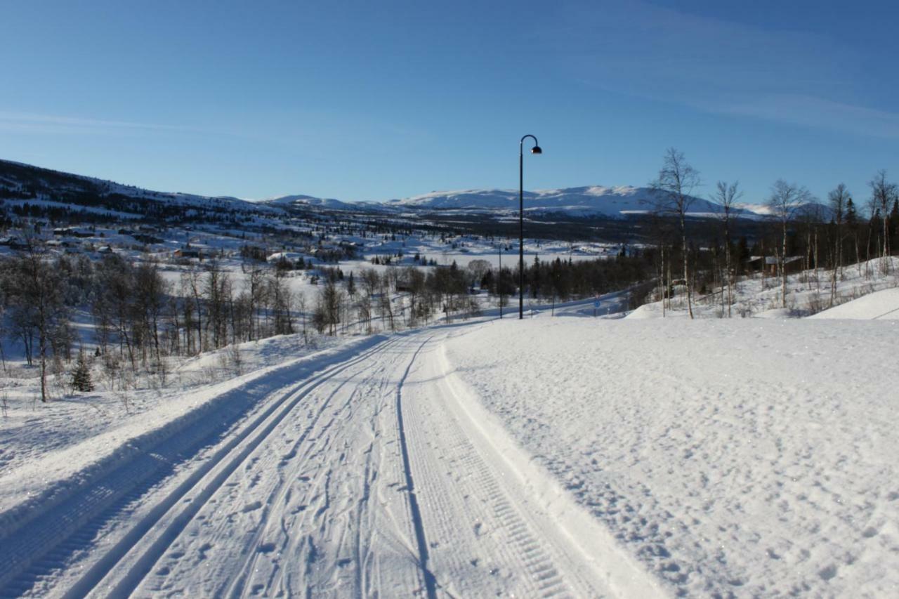 Bergfosshytta Apartment Ron Екстериор снимка